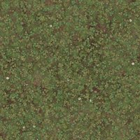Asset preview
